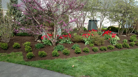 Erie Shores Lawn and Landscaping